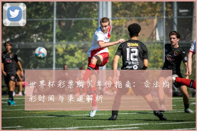 世界杯彩票购买年份指南：合法购彩时间与渠道解析